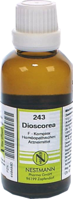 DIOSCOREA F Komplex Nr.243 Dilution 50 ml von NESTMANN Pharma GmbH