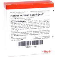 Nervus Opticus suis Injeel Ampullen von Nervus Opticus suis Injeel