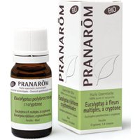 Pranarom Ätherisches Öl Eukalyptus Krypton Bio von PRANAROM