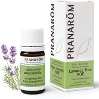 Pranarom Ätherisches Öl Feiner Lavendel von PRANAROM