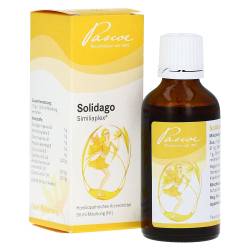 "SOLIDAGO SIMILIAPLEX Tropfen 50 Milliliter" von "Pascoe pharmazeutische Präparate GmbH"