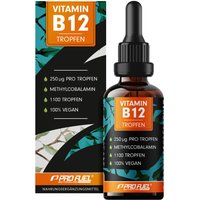 ProFuel - Vitamin B12 Tropfen - 500 mcg bioaktives Vitamin B12 (Methylcobalamin) pro Tropfen von ProFuel