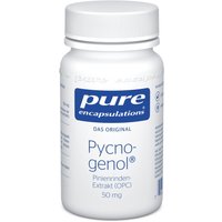 Pure Encapsulations Pycnogenol 50 mg Kapseln von Pure Encapsulations