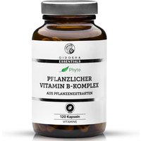 Qidosha Vitamin B Komplex pflanzlich von QIDOSHA