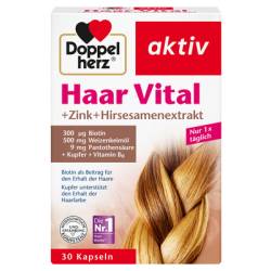 DOPPELHERZ Haar Vital+Zink+Hirseextrakt Kapseln 34,6 g von Queisser Pharma GmbH & Co. KG