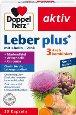 DOPPELHERZ Leber plus Kapseln 30 St von Queisser Pharma GmbH & Co. KG