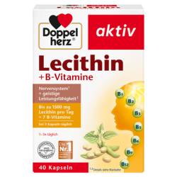 DOPPELHERZ Lecithin+B-Vitamine Kapseln 41,6 g von Queisser Pharma GmbH & Co. KG