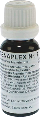 REGENAPLEX Nr.7 Tropfen zum Einnehmen 15 ml von REGENAPLEX GmbH
