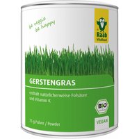 Raab® Vitalfood Gerstengras von Raab