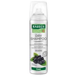 RAUSCH DRY SHAMPOO Fresh 150 ml Aerosol von Rausch (Deutschland) GmbH