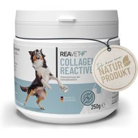 Collagen Reactive - ReaVET von ReaVET