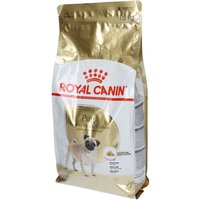 Royal Canin® Mops Carlin Adulte von Royal Canin