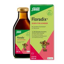 Floradix Eisen für Kinder Tonikum von SALUS Pharma GmbH