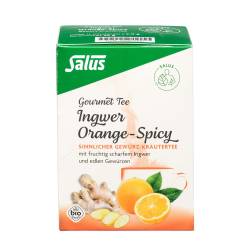 INGWER ORANGE Spicy Tee Salus Filterbeutel 15 St Filterbeutel von SALUS Pharma GmbH