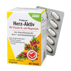 Salus Protector Herz-Aktiv von SALUS Pharma GmbH