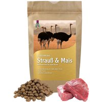 Schecker Dogreform Strauß und Mais - Trockenfutter - glutenfrei - ideal für allergische Hunde von Schecker