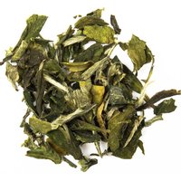 Schrader Grüner Tee China Snow Buds Bio von Schrader