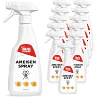 BugPower Ameisen Spray von Silberkraft