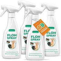 Silberkraft Flohspray Hunde und Katzen von Silberkraft