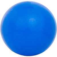 Sport-Knight® Gymnastikball mit Fußpumpe Blau 55cm von Sport-Knight®