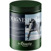 St. Hippolyt Magnesium B12 von St. Hippolyt