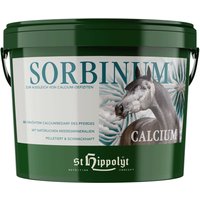 St. Hippolyt Sorbinum Calcium von St. Hippolyt