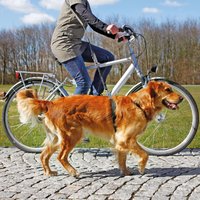 Fahrrad und Joggingleine - mit flexiblen Expanderleine von TRIXIE