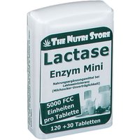 Lactase 5.000 FCC Enzym Mini von The Nutri Store
