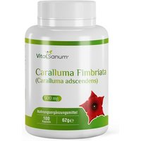 VitaSanum® - Caralluma Fimbriata (Caralluma adscendens) von VitaSanum