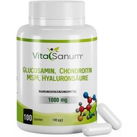 VitaSanum® Glucosamin + Chondroitin + MSM + Hyaluronsäure von VitaSanum