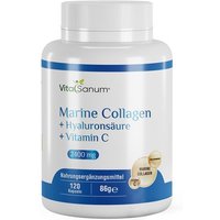 VitaSanum® - Marine Collagen + Hyaluronsäure + Vitamin C von VitaSanum