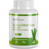 VitaSanum® - Schachtelhalm Horsetail (Equisetum arvense) von VitaSanum