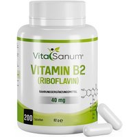 VitaSanum® - Vitamin B2 (Riboflavin) von VitaSanum
