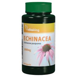 ECHINACEA 1000mg von Vitaking GmbH