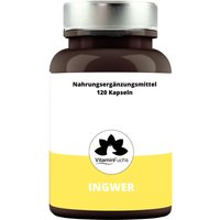 Ingwer + Kapseln - Ingwerpulver optimal Bioverfügbar von VitaminFuchs von VitaminFuchs