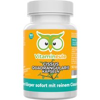 Cissus Quadrangularis Kapseln - Vitamineule® von Vitamineule