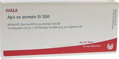 APIS EX animale GL D 20 Ampullen 10X1 ml von WALA Heilmittel GmbH