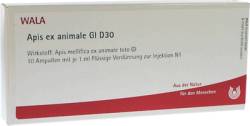 APIS EX animale GL D 30 Ampullen 10X1 ml von WALA Heilmittel GmbH