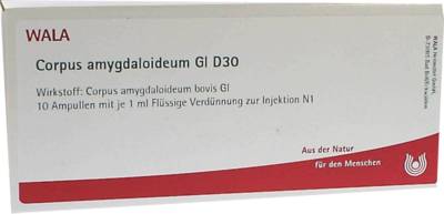 CORPUS AMYGDALOIDEUM GL D 30 Ampullen 10X1 ml von WALA Heilmittel GmbH