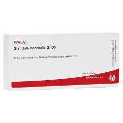 "GLANDULA LACRIMALIS GL D 5 Ampullen 10x1 Milliliter" von "WALA Heilmittel GmbH"