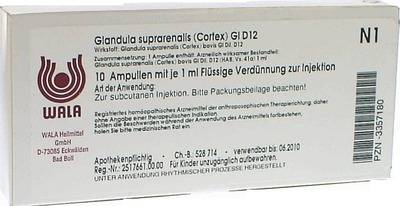 GLANDULA SUPRARENALES cortex GL D 12 Ampullen von WALA Heilmittel GmbH