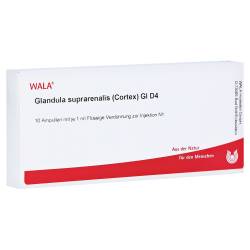 "GLANDULA SUPRARENALIS cortex GL D 4 Ampullen 10x1 Milliliter" von "WALA Heilmittel GmbH"