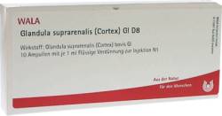 GLANDULA SUPRARENALIS cortex GL D 8 Ampullen 10X1 ml von WALA Heilmittel GmbH