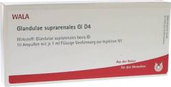 GLANDULAE SUPRARENALES GL D 4 Ampullen 10X1 ml von WALA Heilmittel GmbH