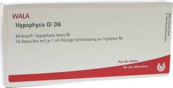 HYPOPHYSIS GL D 6 Ampullen 10X1 ml von WALA Heilmittel GmbH