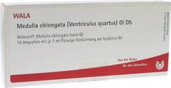 MEDULLA OBLONGATA Ventriculus quartus GL D 5 Amp. 10X1 ml von WALA Heilmittel GmbH