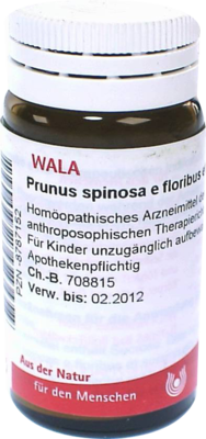 PRUNUS SPINOSA E floribus et summitatibus D 2 Gl. 20 g von WALA Heilmittel GmbH