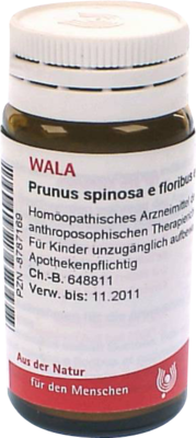 PRUNUS SPINOSA E floribus et summitatibus D 3 Gl. 20 g von WALA Heilmittel GmbH
