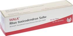 RHUS TOXICODENDRON SALBE 30 g von WALA Heilmittel GmbH