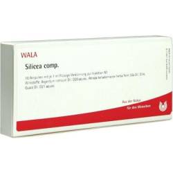 SILICEA COMP.Ampullen 10X1 ml von WALA Heilmittel GmbH